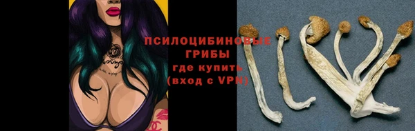 спиды Баксан