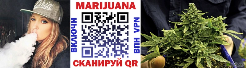 где найти   Белореченск  это клад  Канабис сатива 